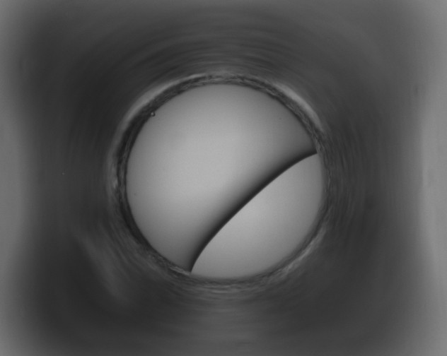 X0000100391070200806060829