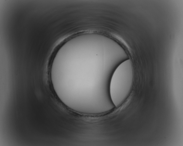 X0000100391071200806060829