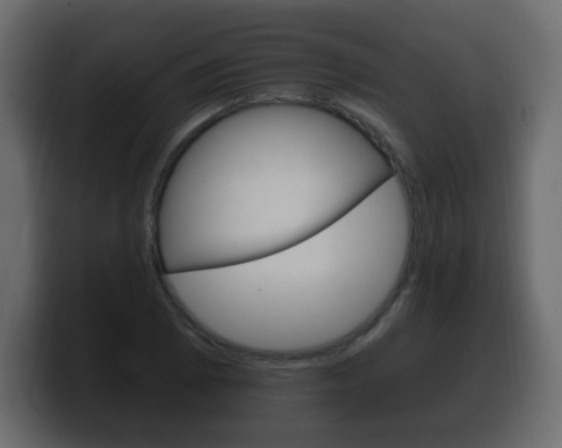 X0000100391073200806060829