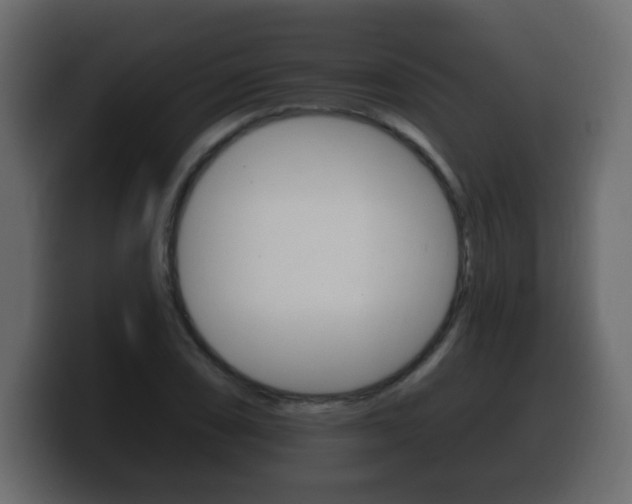 X0000100391074200806060829
