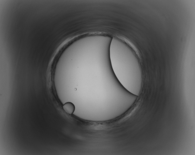 X0000100391075200806060829
