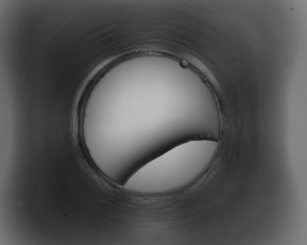 X0000100391076200806060829