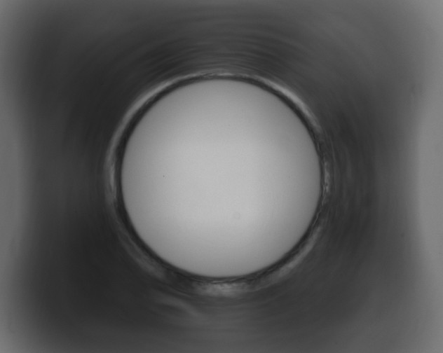 X0000100391078200806060829
