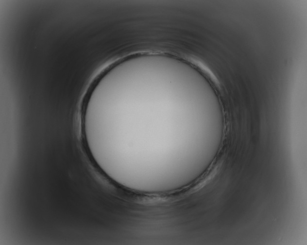 X0000100391079200806060829