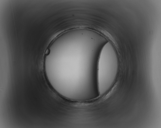 X0000100391081200806060829