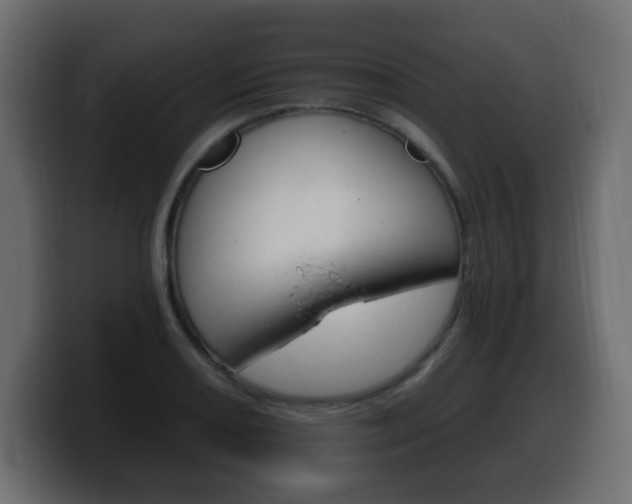 X0000100391082200806060829