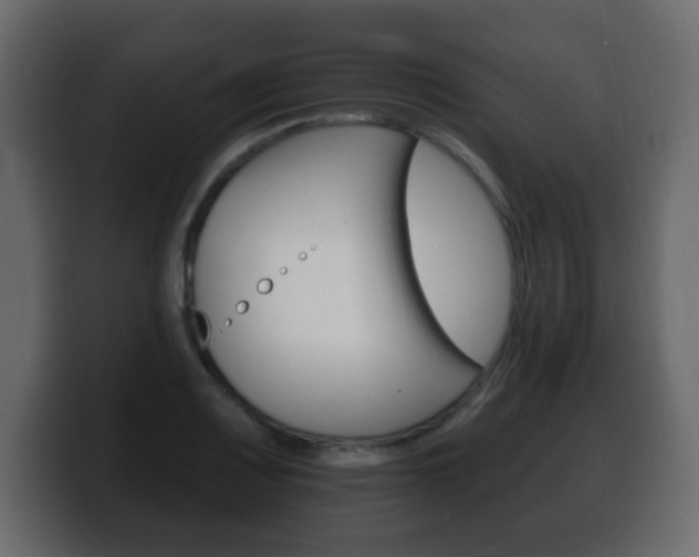 X0000100391083200806060829