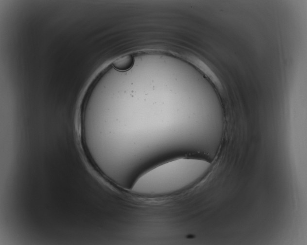 X0000100391084200806060828