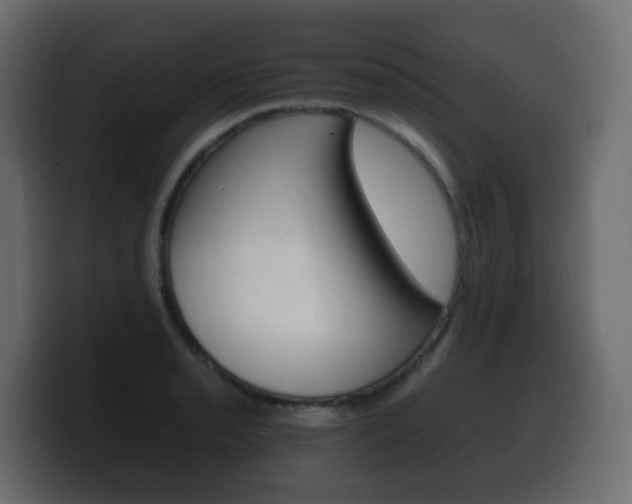 X0000100391085200806060828