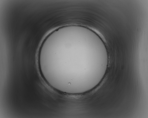 X0000100391086200806060828