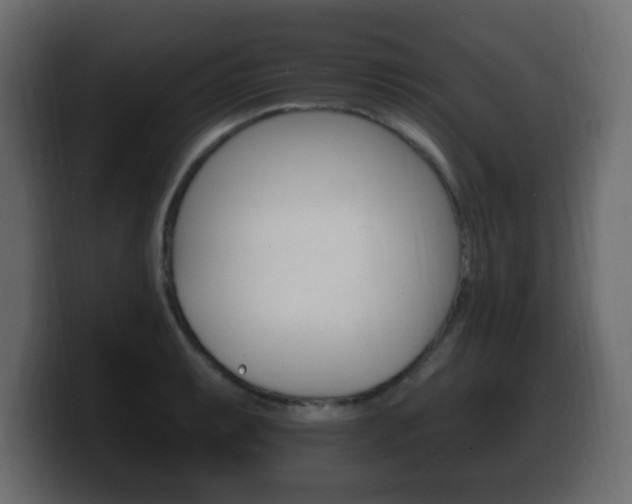 X0000100391087200806060828