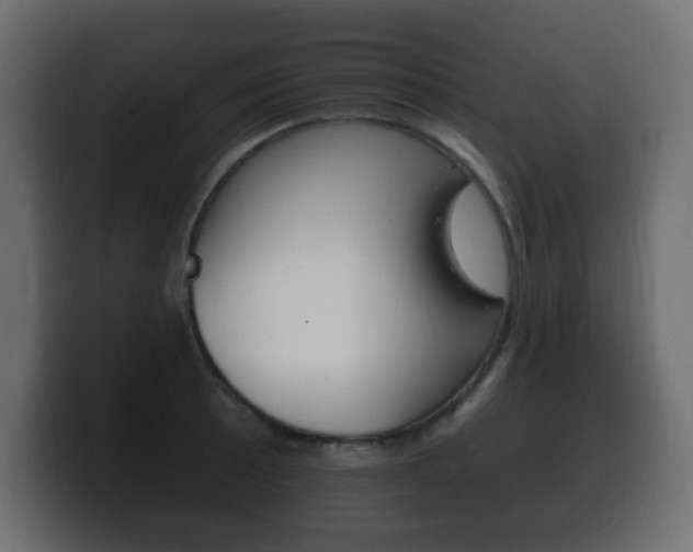 X0000100391089200806060828