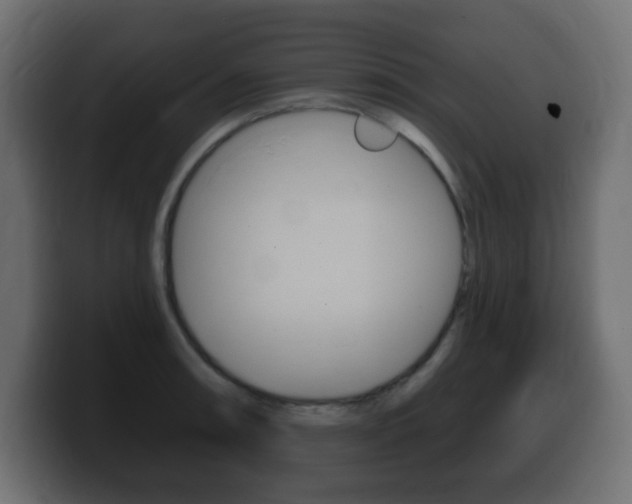 X0000100391090200806060828