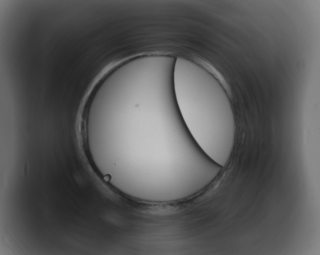 X0000100391091200806060828