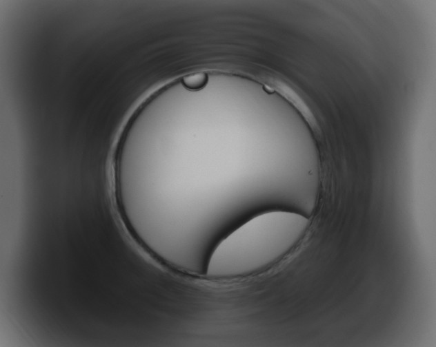 X0000100391092200806060828