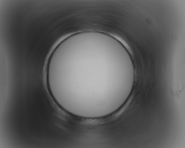X0000100391094200806060828