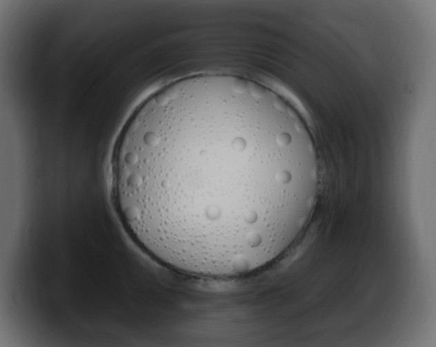 X0000100391095200806060828