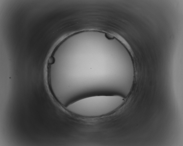 X0000100391096200806060828