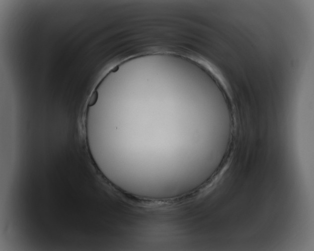 X0000100391097200806060828