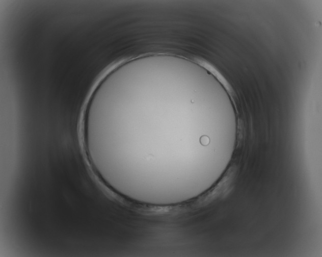 X0000100391098200806060828