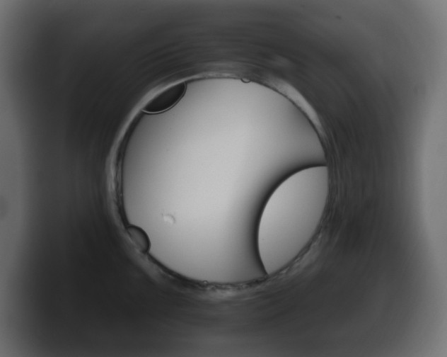 X0000100391099200806060828