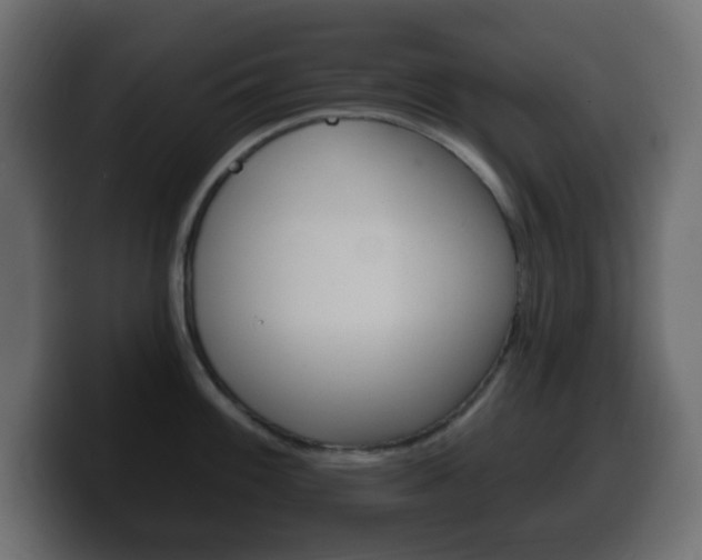 X0000100391100200806060828