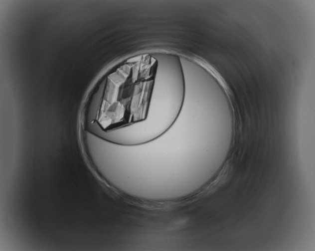 X0000100391101200806060828
