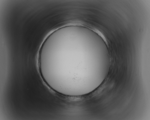 X0000100391103200806060828