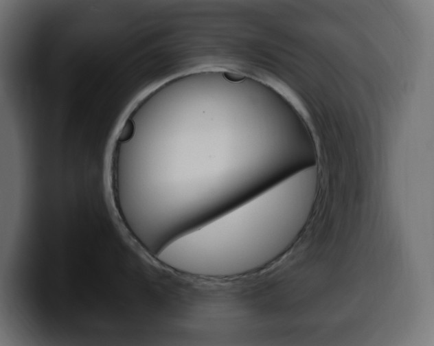 X0000100391104200806060828