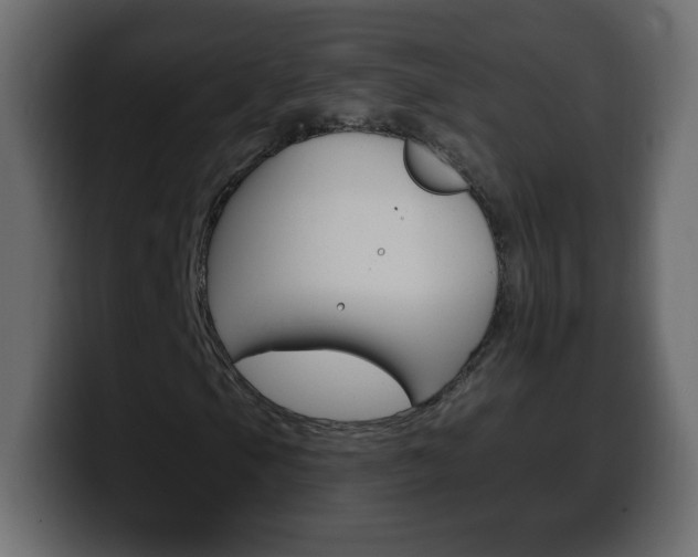 X0000100391105200806060828