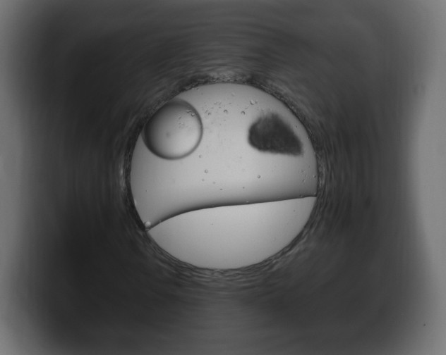X0000100391106200806060828