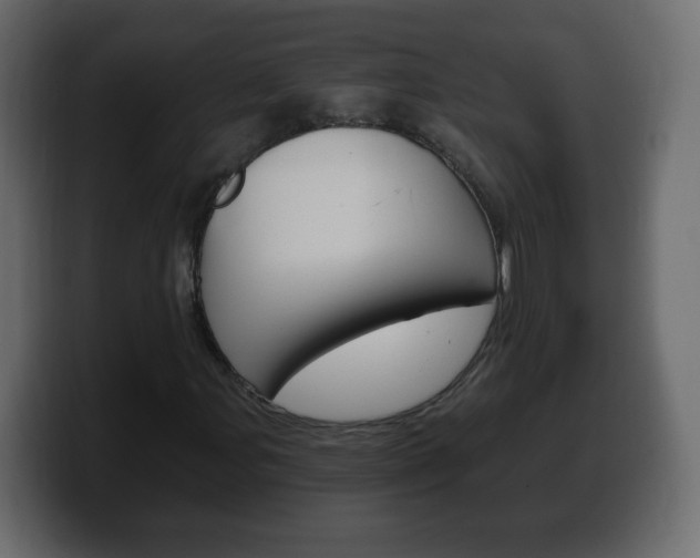 X0000100391107200806060828