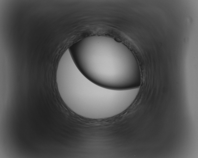 X0000100391108200806060828