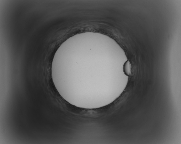 X0000100391109200806060828