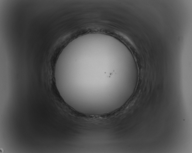 X0000100391111200806060828