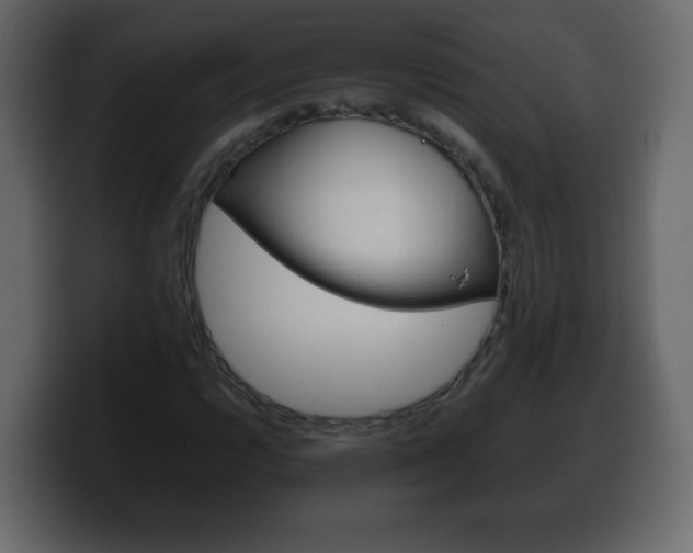 X0000100391112200806060828