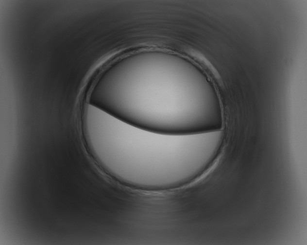 X0000100391114200806060828