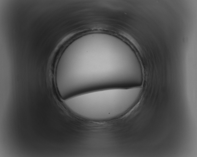 X0000100391115200806060828