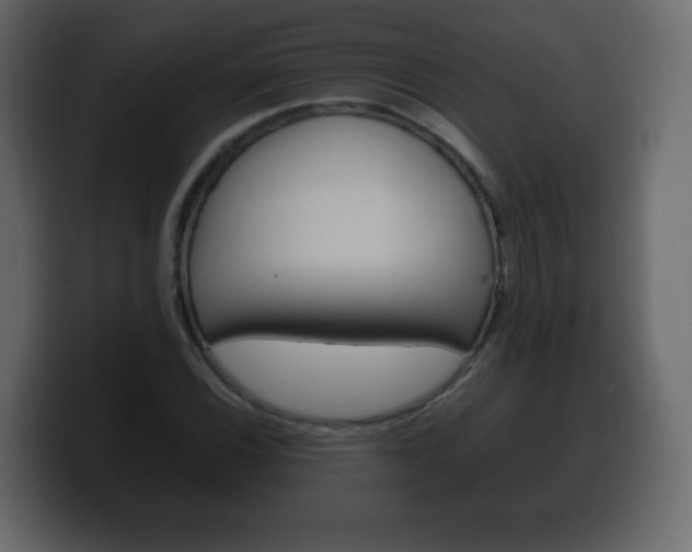 X0000100391116200806060828