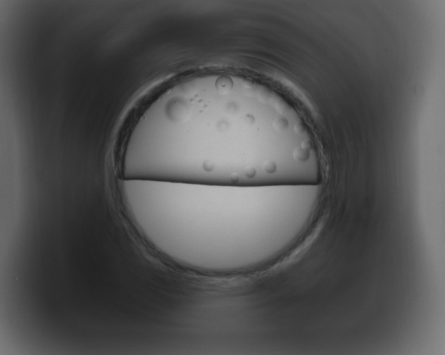 X0000100391117200806060828