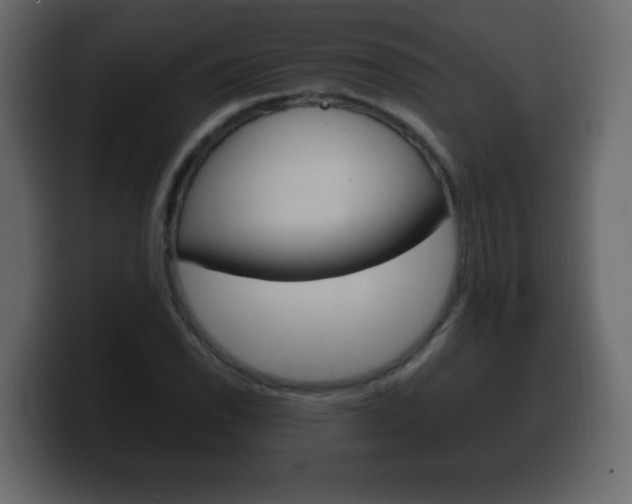 X0000100391118200806060828