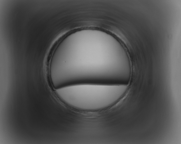 X0000100391119200806060828
