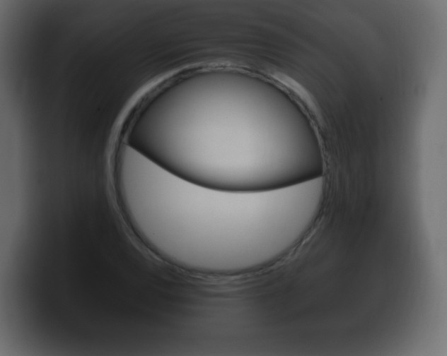 X0000100391120200806060828