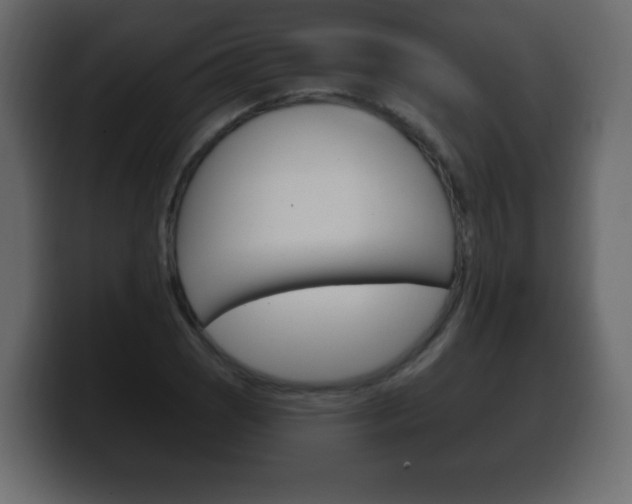 X0000100391121200806060828