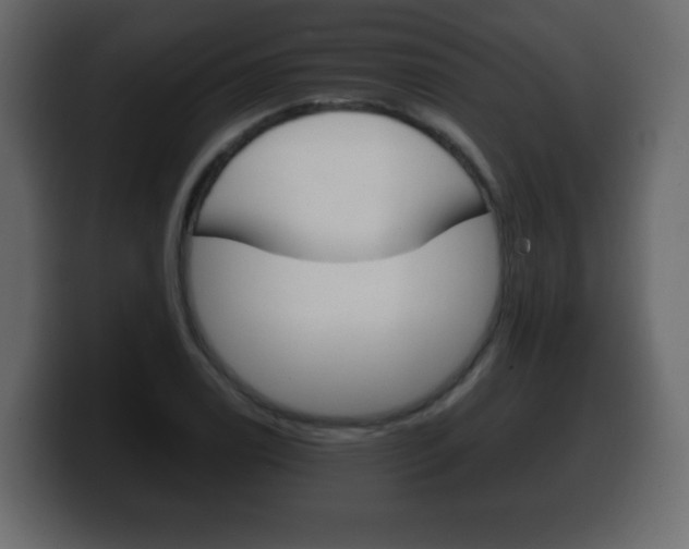 X0000100391122200806060828