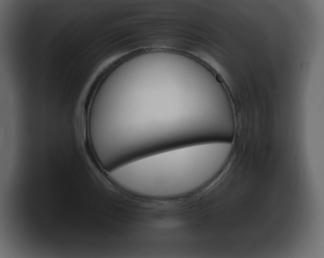 X0000100391123200806060828