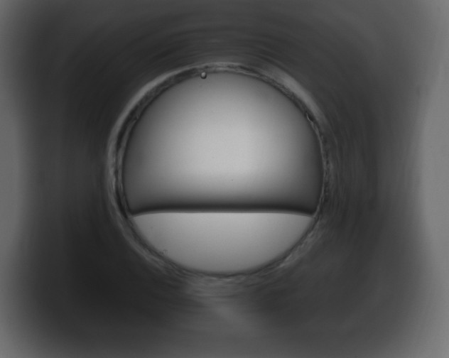 X0000100391124200806060828
