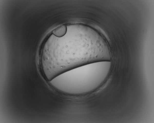 X0000100391125200806060828