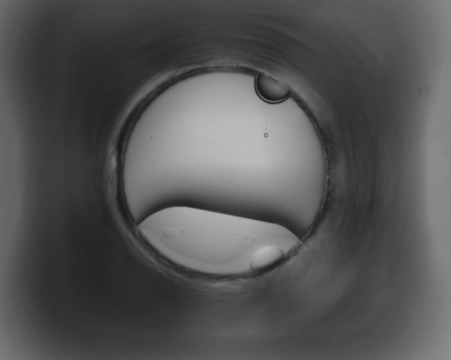 X0000100391126200806060828