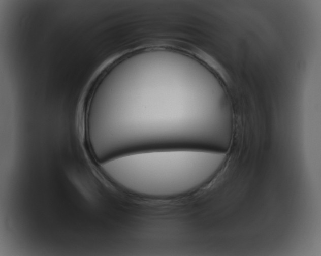 X0000100391127200806060828